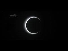 AC100-240V Speed ​​Gate Turnstile Office بناء بوابة حاجز السرعة الضوئية